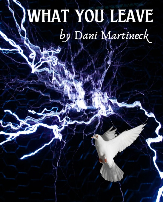 Black and dark blue background with white lightning zig zags. The top center, in white writing, reads What You Leave by Dani Martineck. In the bottom right corner there is a white pigeon flying.